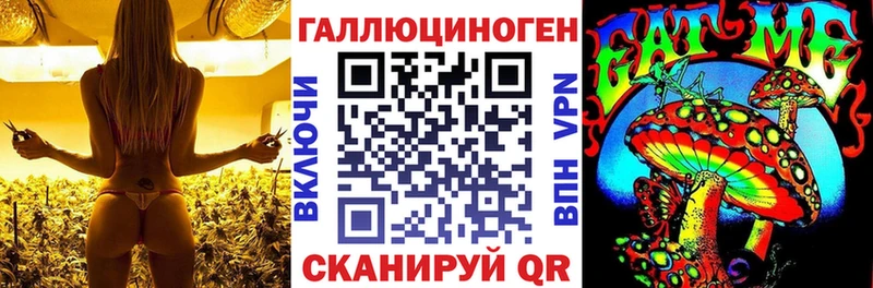 MEGA ССЫЛКА  Усть-Джегута  Галлюциногенные грибы мицелий 